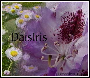 DaisIris.jpg