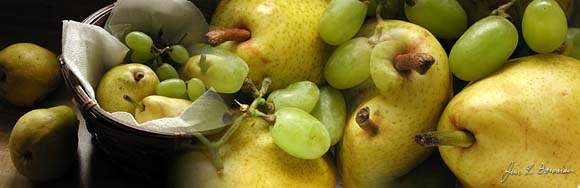 cornucopia_grapes_pears.jpg