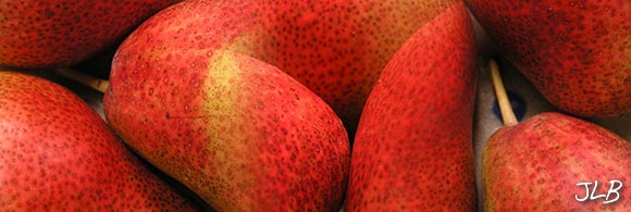 coupling-pears-I.jpg