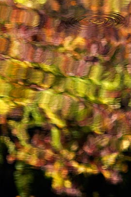 fall-colors-reflected.jpg