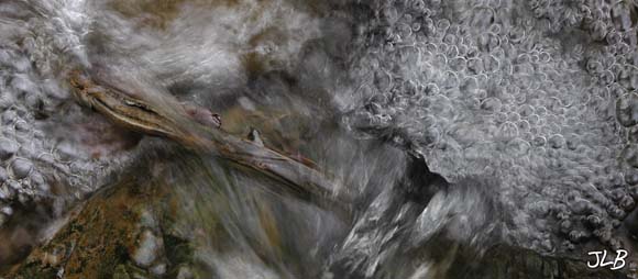 flowing_and_churning.jpg