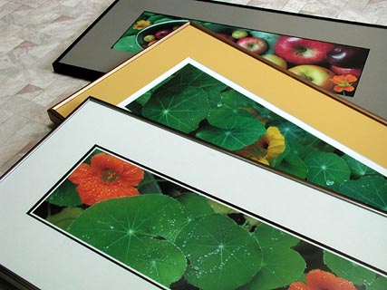 Framed Prints from Bowman Images