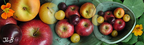 fruit-bowl-blend.jpg