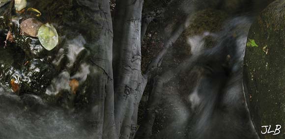 grey_shadows_flowing.jpg
