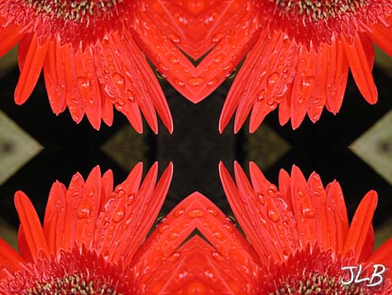guardian_angel_wings.jpg