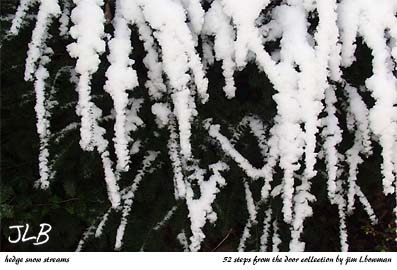 hedge_snow_streams_notecard.jpg