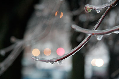 iced-twigs-light-dots.jpg