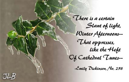 icy_holly_leaves.jpg