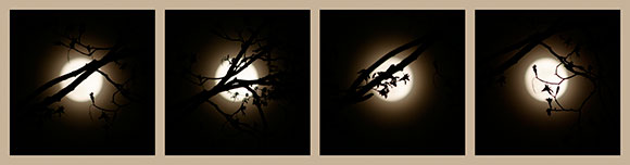 misty-moon-over-cottage.jpg