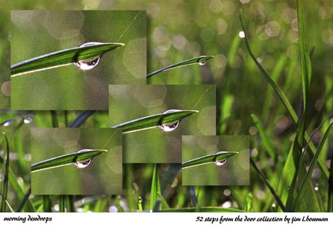 morning_dewdrops.jpg
