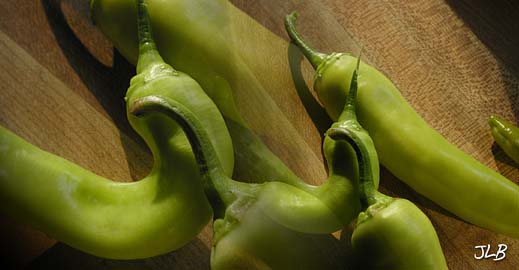 pepper_stem_duo.jpg