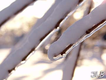 snow_ice_twigs.jpg