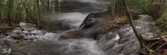 stream-flow-ecu-tree-tilt.jpg
