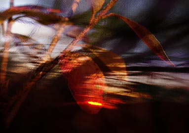sunset-abstraction.jpg