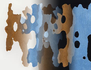 sycamore-bark-inverted.jpg