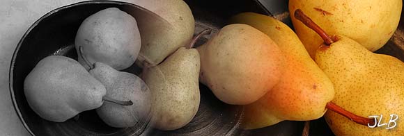 three_pears_in_bowl_BW_ramp.jpg
