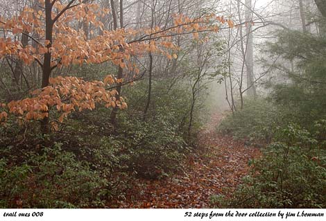 trail_vues_008_notecard.jpg