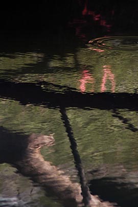 under-the-bridge.jpg