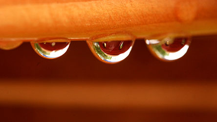 waterdrop-trinity.jpg