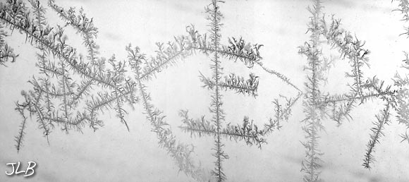 winter-synapse.jpg