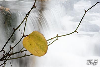 yellow-leaf-over-falls.jpg
