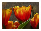 Easter-tulips-church-SM.jpg