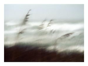 OBX-sea-oats-storm.jpg