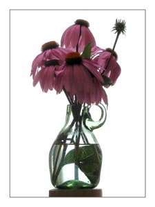 echinacea-bouquet-vase.jpg