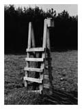 fence-stile-bird-house-SM.jpg