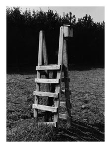 fence-stile-with-bird-house.jpg