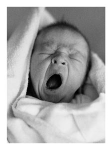 first-yawn.jpg