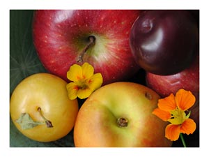 nasturtiums-on-fruit.jpg