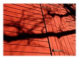 red-barn-shadows-SM.jpg