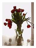 red-tulip-bouquet-two-SM.jpg