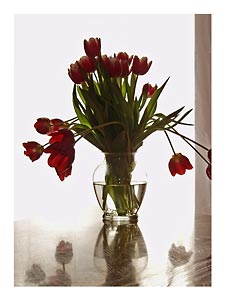 red-tulip-bouquet-two.jpg