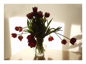 red-tulips-bouquet.jpg